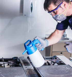 IK ALK 1.5 Pump Sprayer